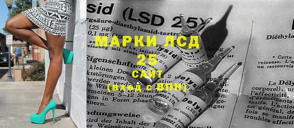 индика Баксан