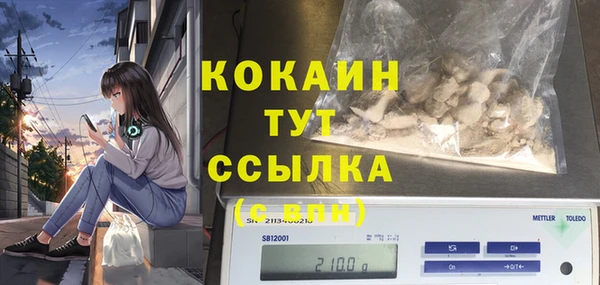 индика Баксан