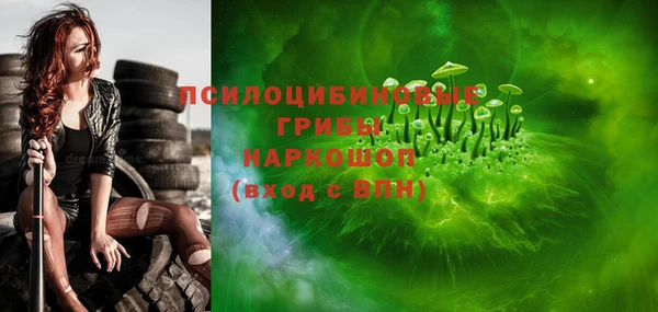индика Баксан
