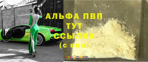 индика Баксан