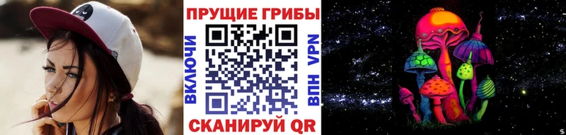 Галлюциногенные грибы Psilocybe  Будённовск 