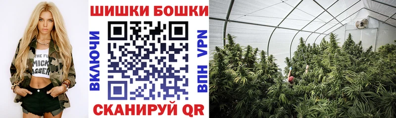 KRAKEN ссылка  Будённовск  Канабис VHQ  где купить наркоту 